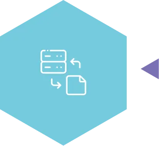 Data Migration & Validation