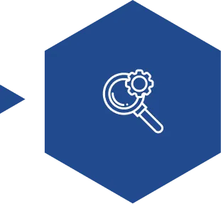 Discovery & Assessment